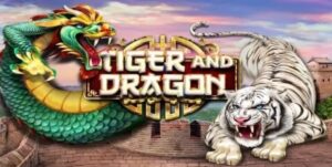 Dragon Tiger Tại 789P